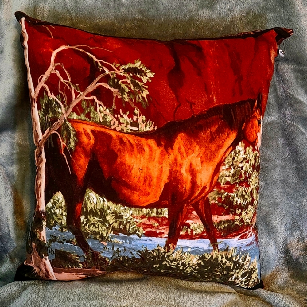 Throw Pillow